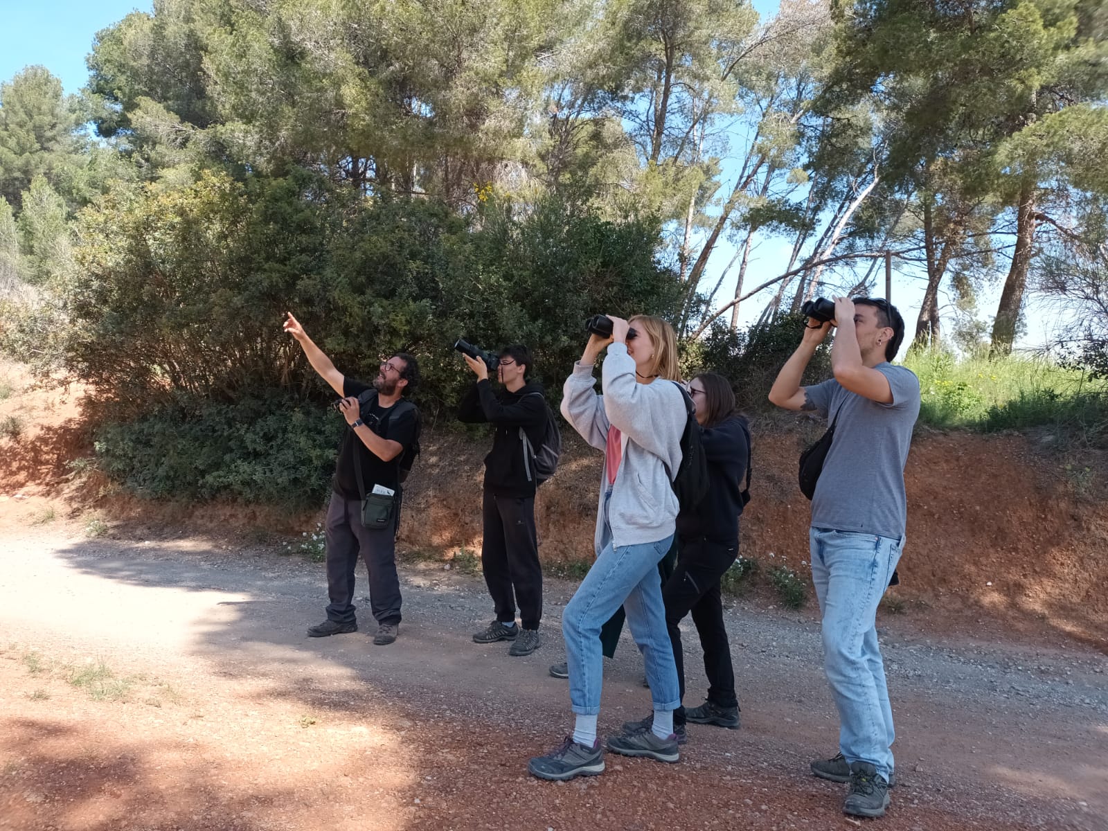 Visita guiada per l'entorn forestal de sant boi observant els ocells