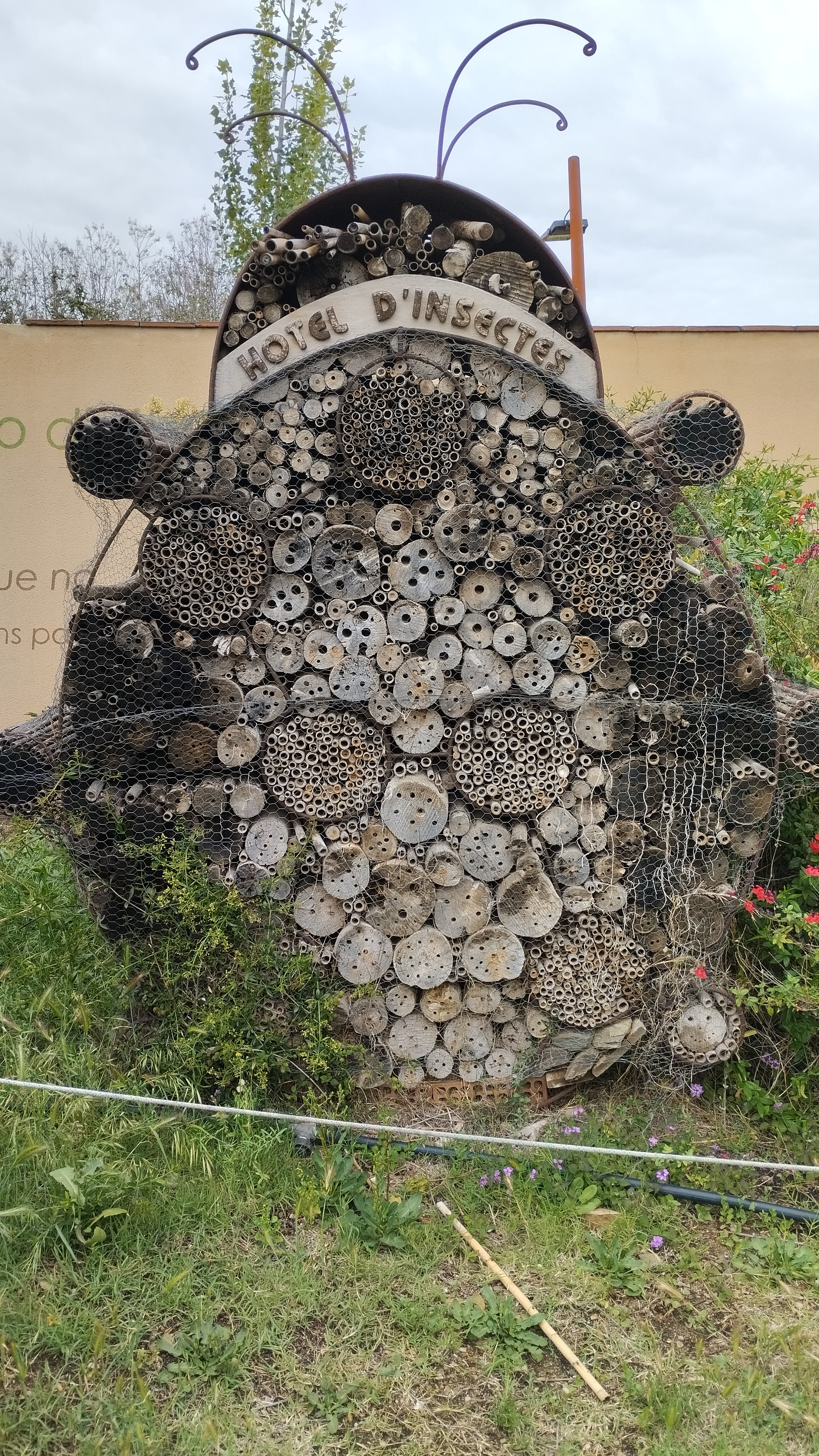 Hotel d'insectes al parc ambiental torre de la vila per activitat de refugi per abelles