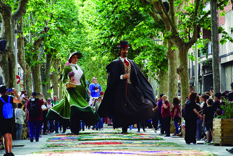 Catifes florals a la rambla de Rafael Casanova