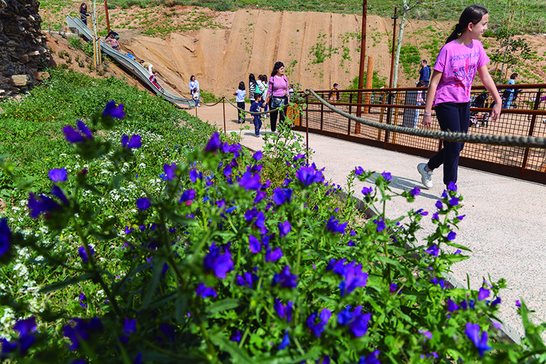 En primer terme, unes flors al nou espai del Parc Ambiental Torre de la Vila