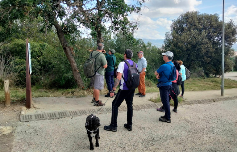 Sortida guiada, plantes autòctones i exòtiques del bosc