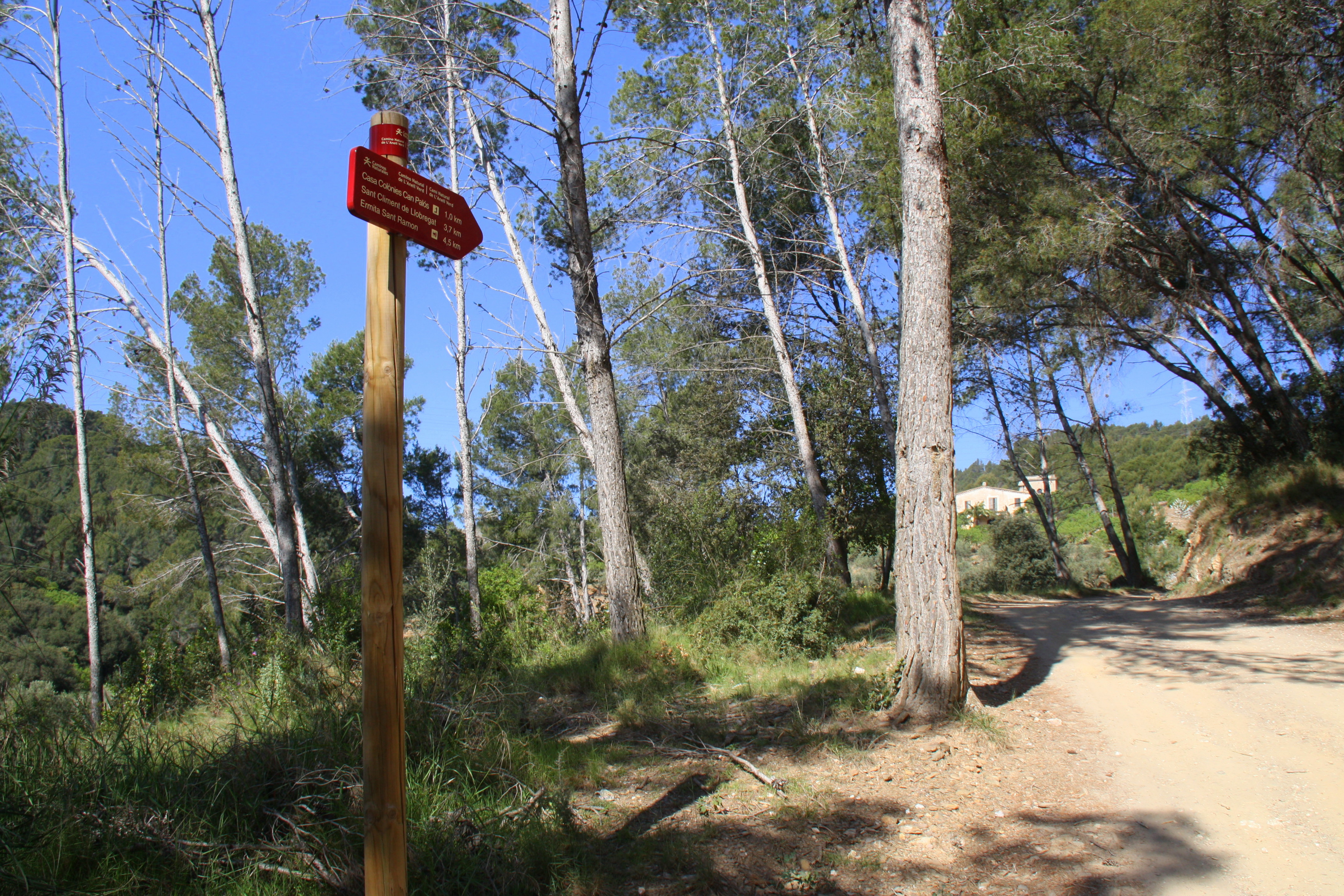 Entorn forestal de sant boi