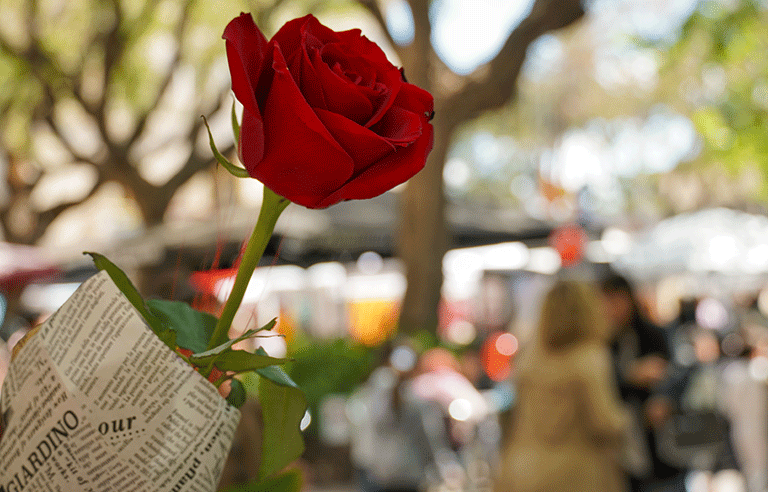 santjordi