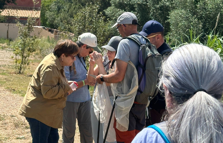 A25_Setmana Natura itinerari papallones