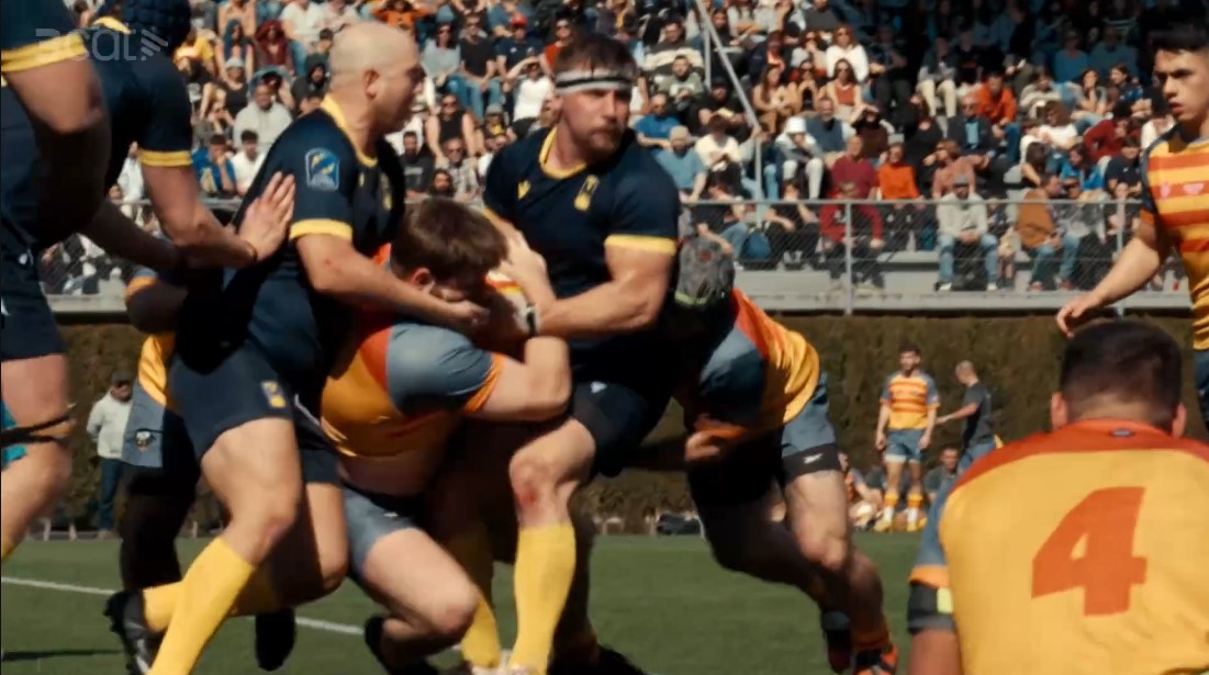 rugbi