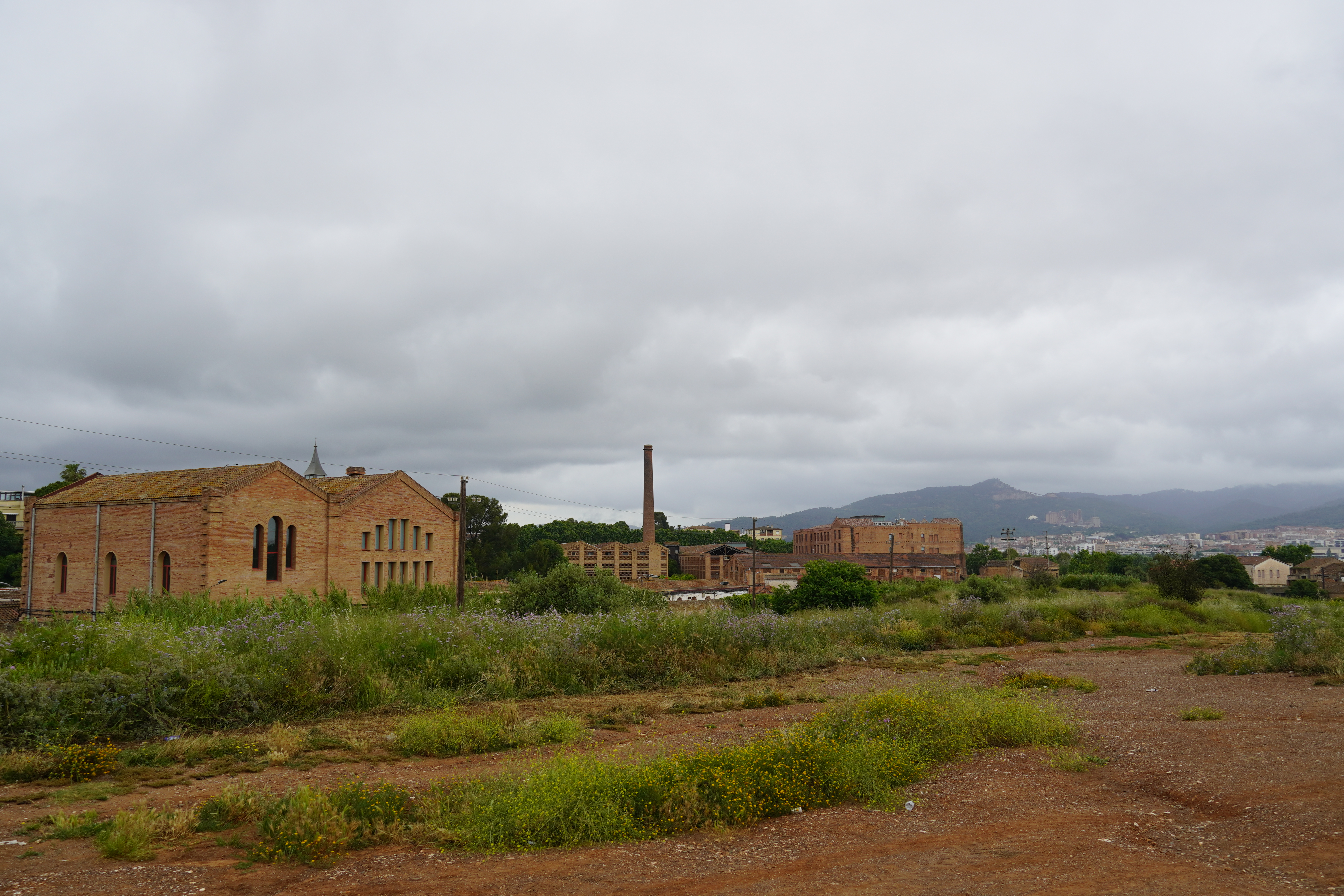 Recuperació d’hàbitats a la riera de Can Soler SBR+V