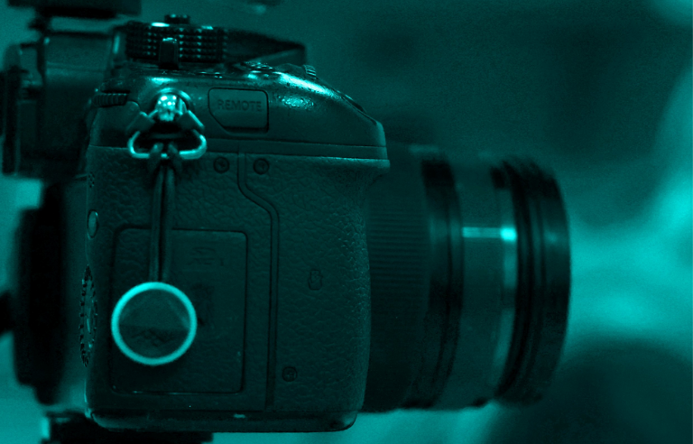 Mostra local de cinema i convivència