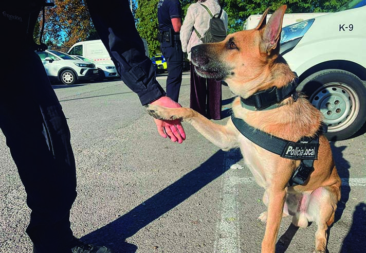 La Policia Local entrena Fènix com a gos policia