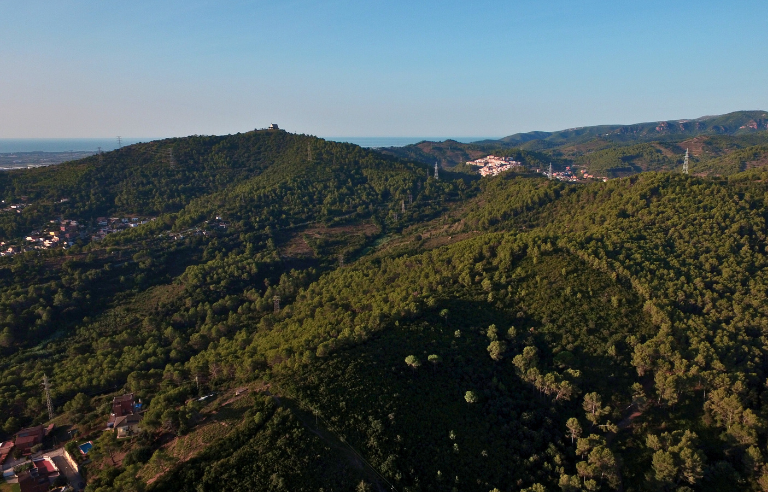 Riera de Can Carreres