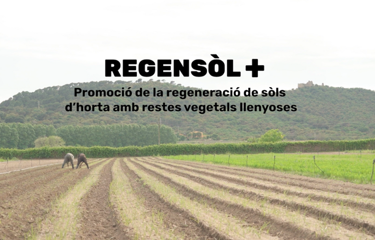 Documental Regensòl+