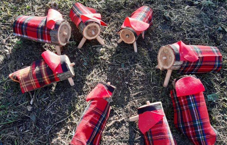 Anem a buscar el tió de Nadal