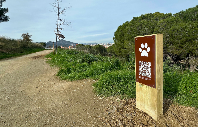 Itinerari gossos deslligats Muntanyeta