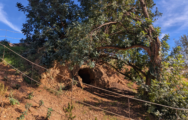 Eremitori Llor SBR+V