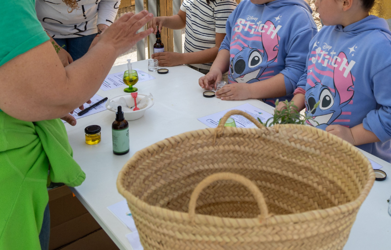 Jugateca Pocions de bruixes i bruixots