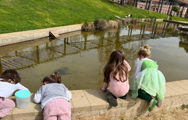 Jugatecambiental: La ciència de l’aigua
