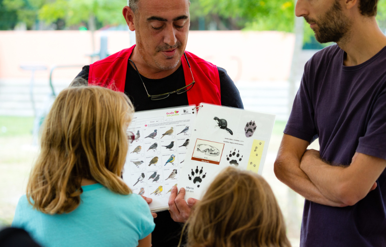La fauna secreta del parc i taller de petjades