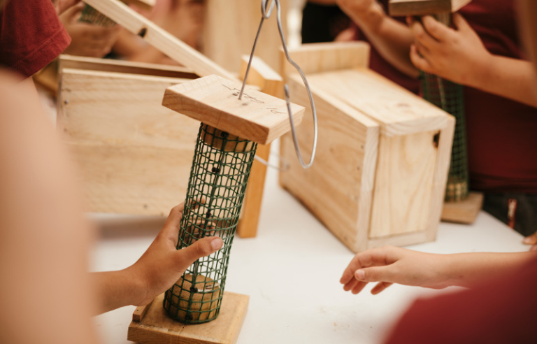 Jugateca El conte dels ocells