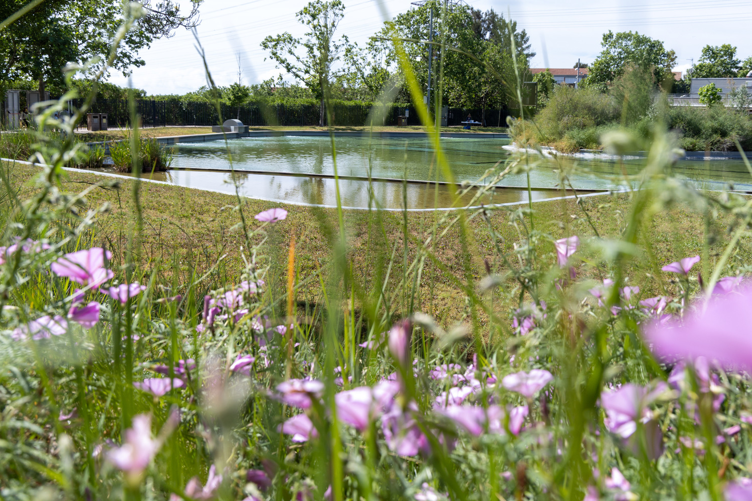 Aspecte de l'entorn del llac, que ja es pot visitar