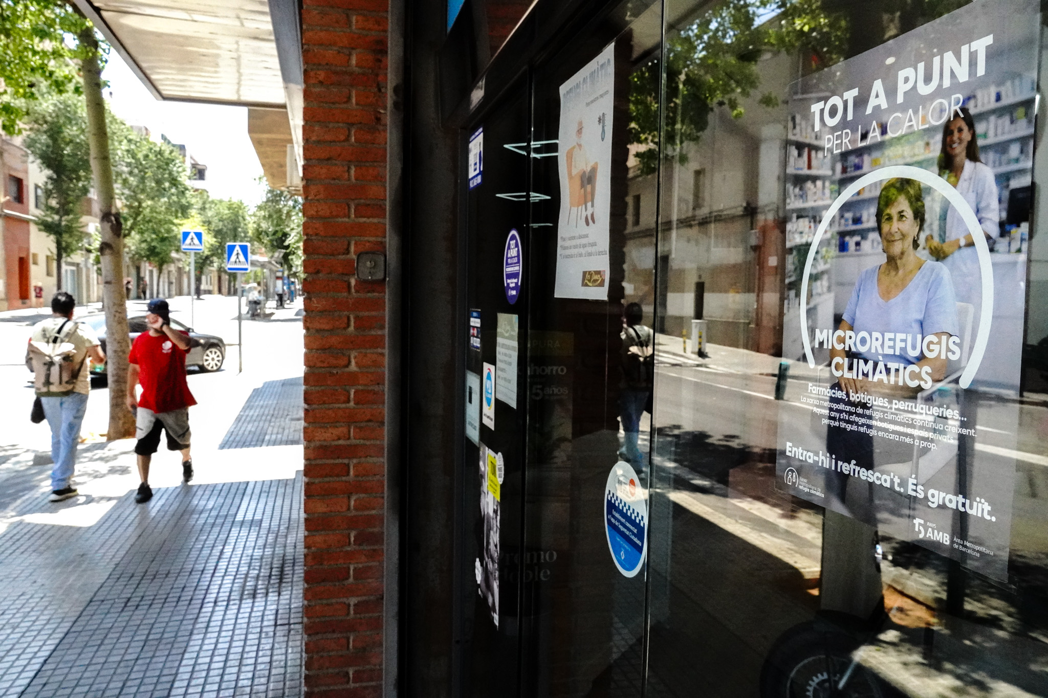 Muebles Los Pinos