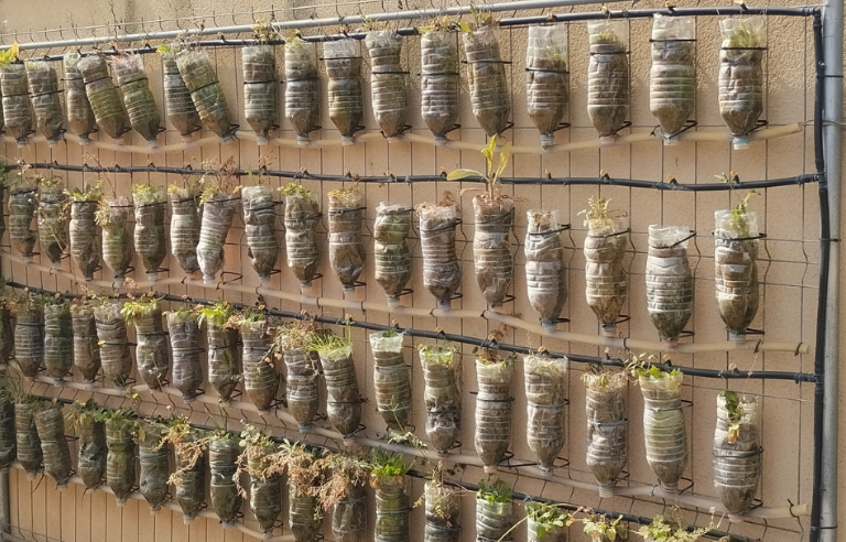 Jugatecambiental: Un hort en ampolles