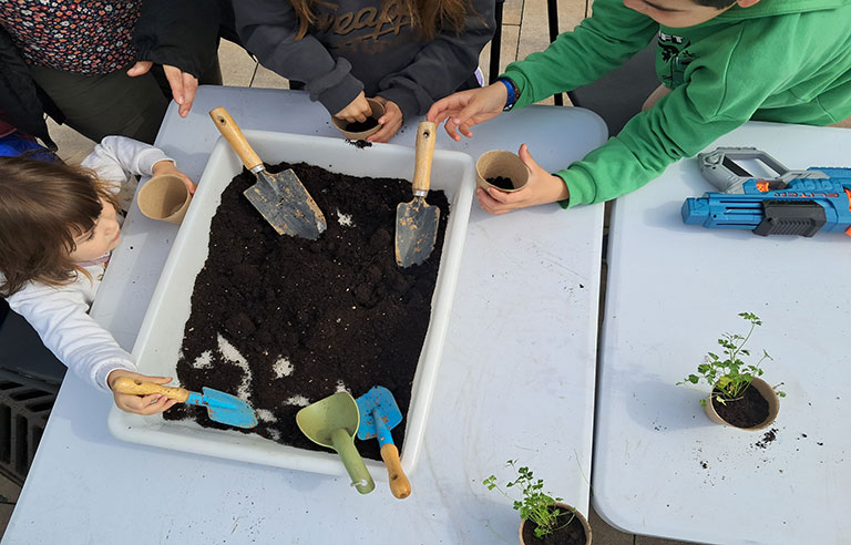 carxokids