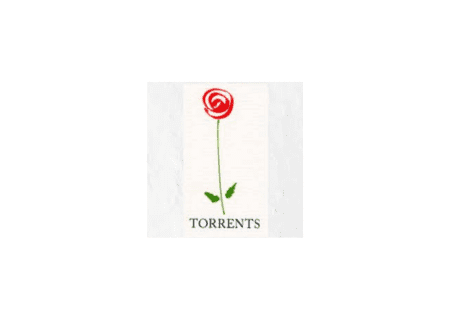 Logo Floristeria Torrents