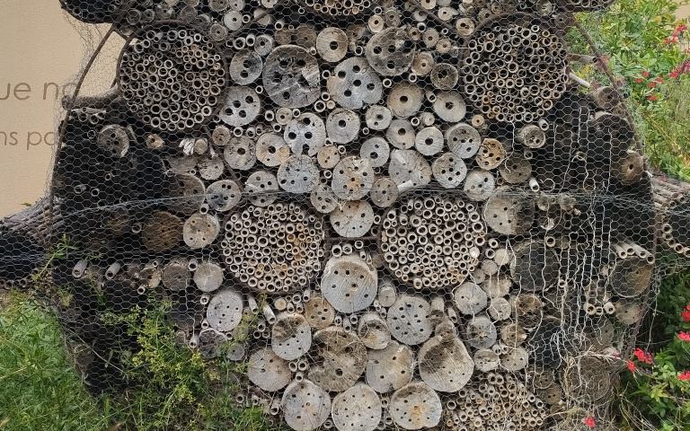 Hotel d'insectes al parc ambiental torre de la vila per activitat de refugi per abelles