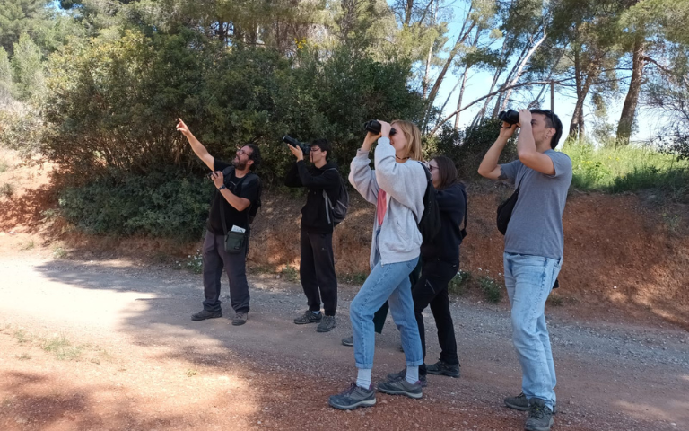 Sortida guiada per l'entorn forestal de sant boi observant els ocells