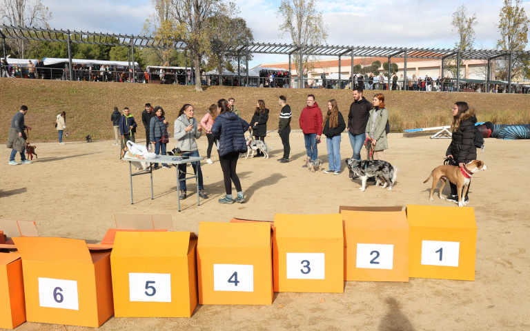 Taller de la Festa de l’Animal de Companyia