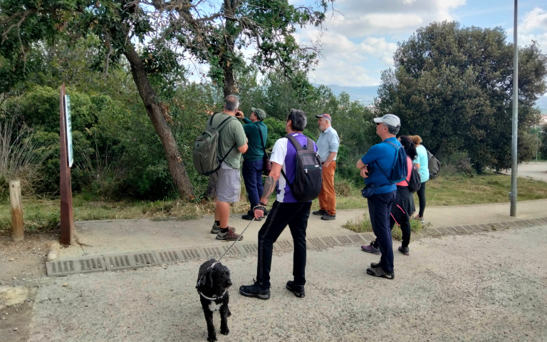 Sortida guiada, plantes autòctones i exòtiques del bosc