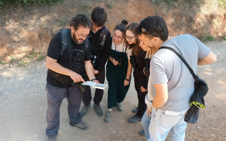 Sortida guiada rapinyaires nocturns al bosc