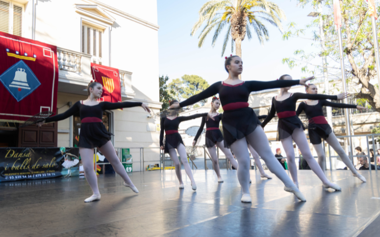Mostra de Dansa 
