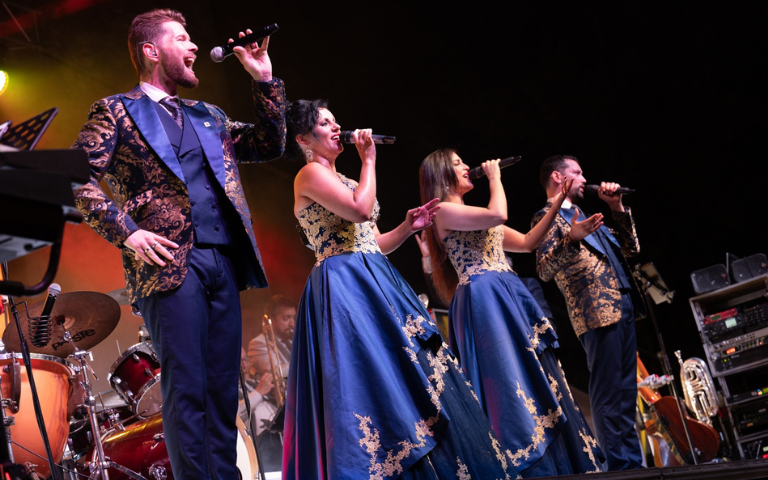 Orquestra Selvatana 