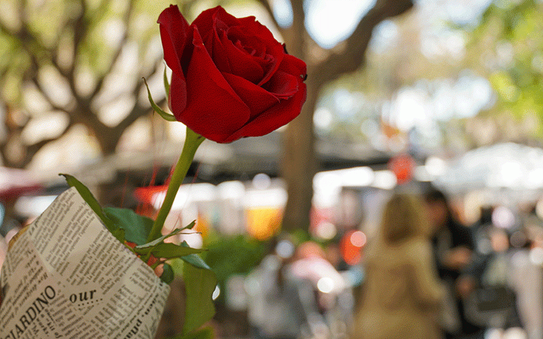 santjordi