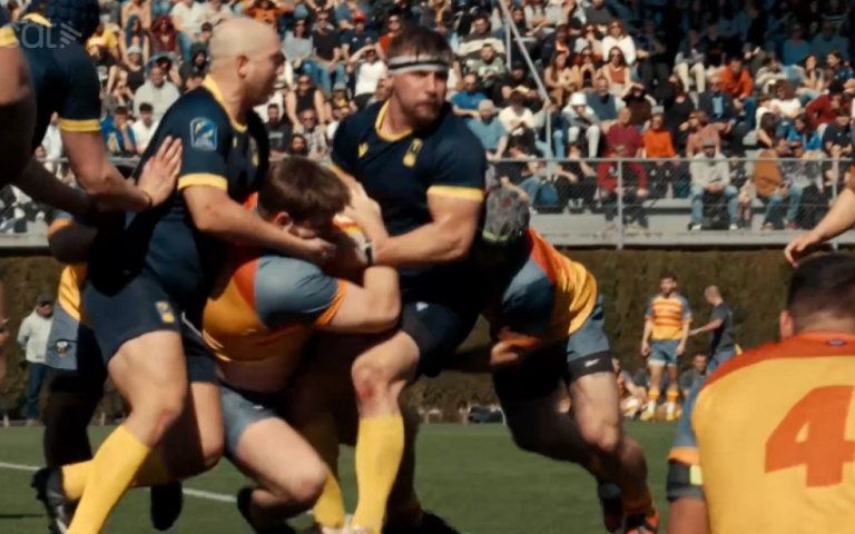 rugbi