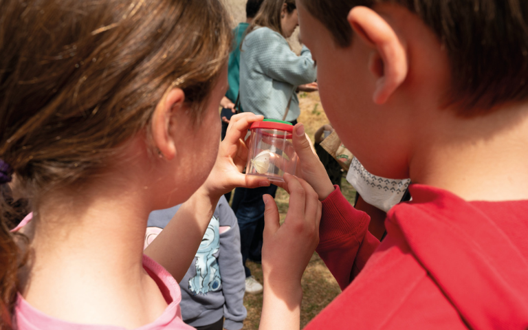 Jugatecambiental: 9è Bioblitz Metropolità. Ciència ciutadana