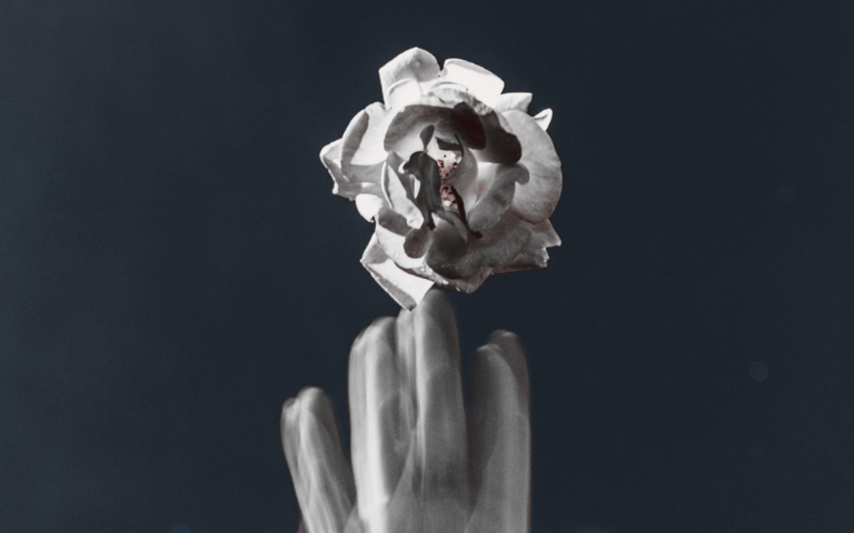 Dia de la Poesia 2026 