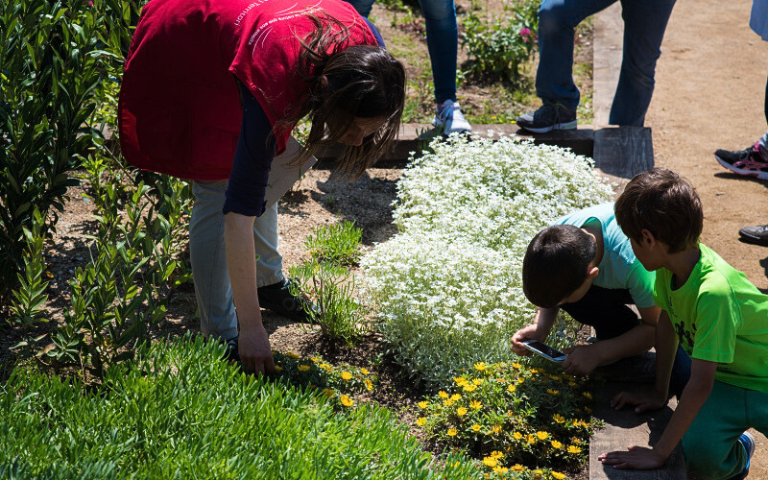 Jugatecambiental: Safari fotogràfic