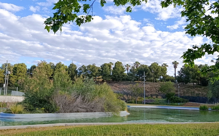 Llac muntanyeta