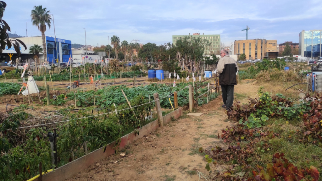 Horts comunitaris i terapèutics