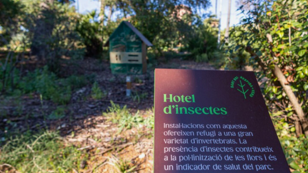 Palau Marianao SBR+V