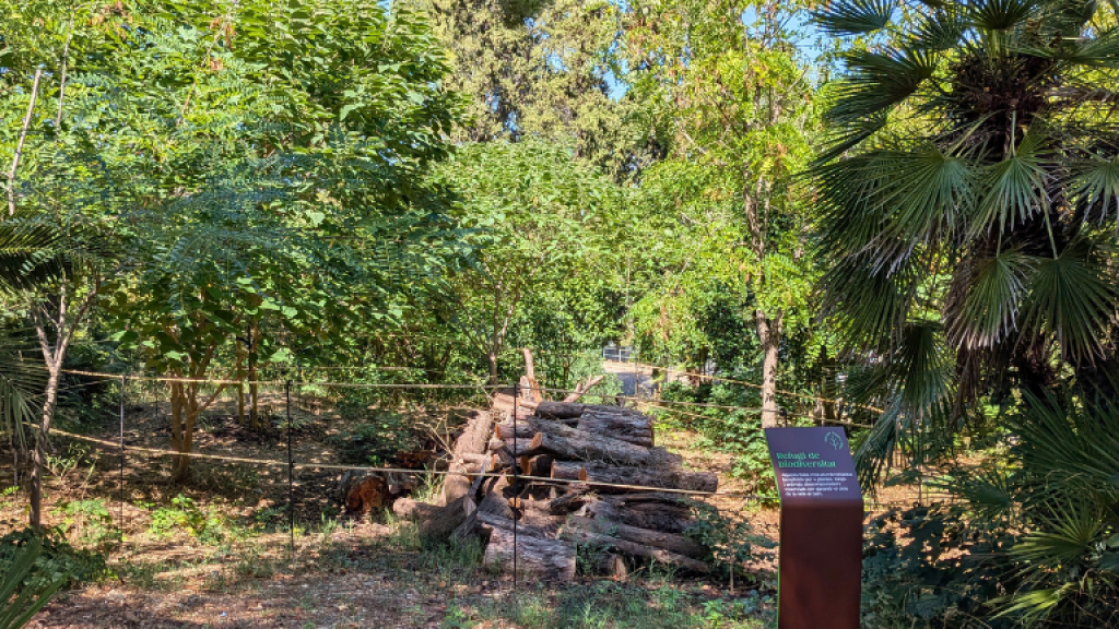 Palau Marianao SBR+V