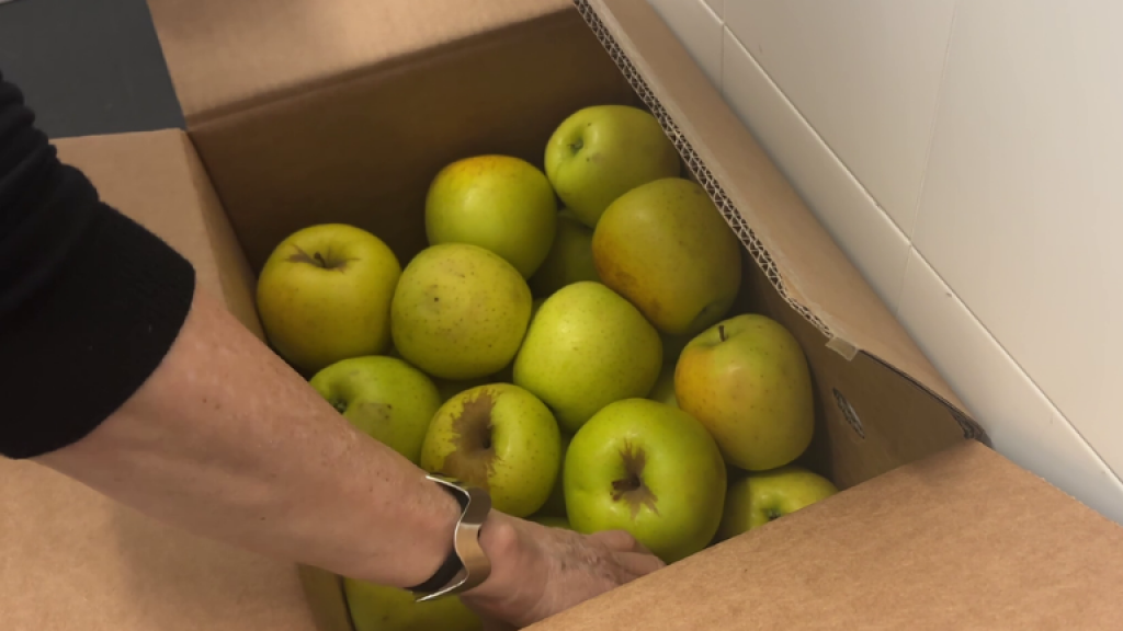 Repartiment fruita Igualssom