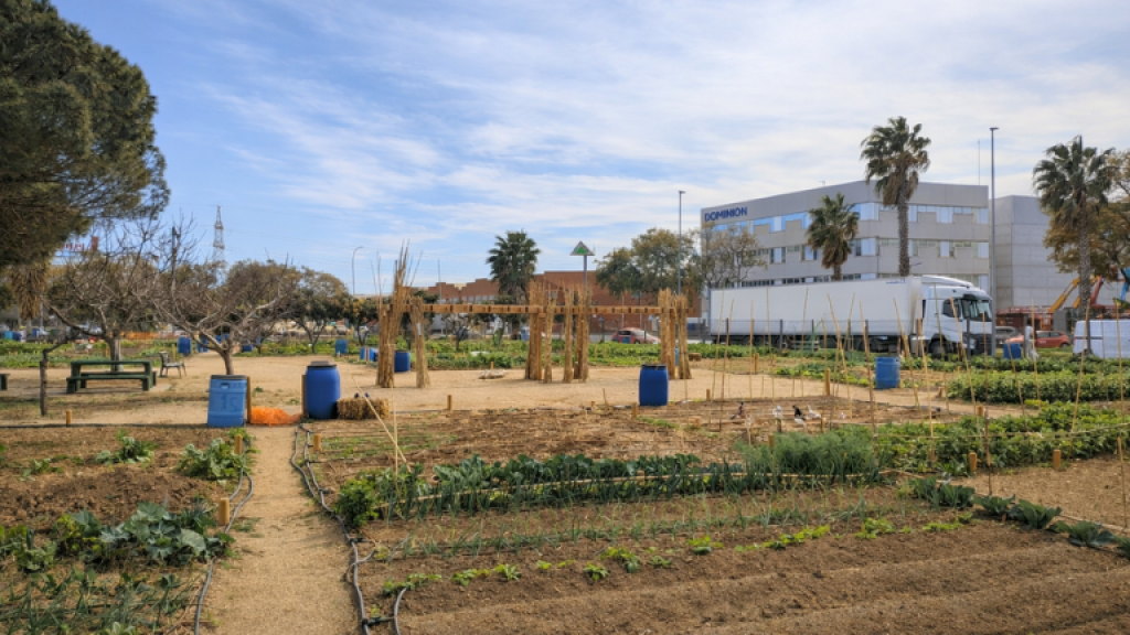 Horts comunitaris gestió Igualssom