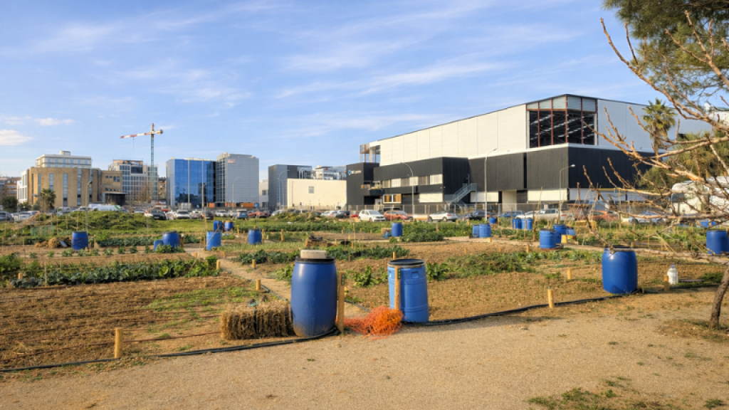 Horts comunitaris gestió Igualssom