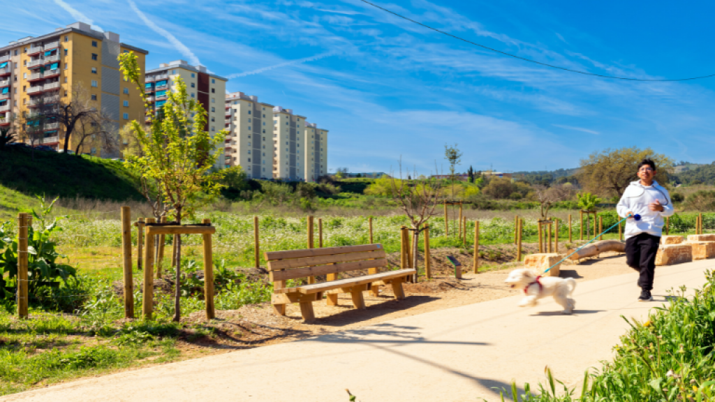 Riera Can Soler SBR+V