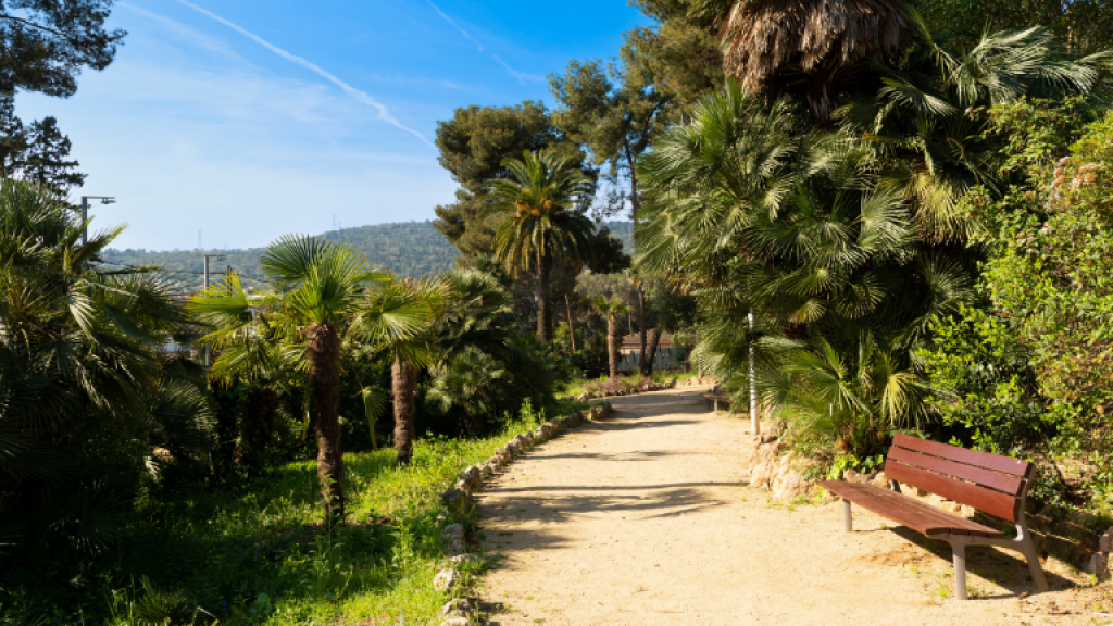 Parc Palau Marianao SBR+V