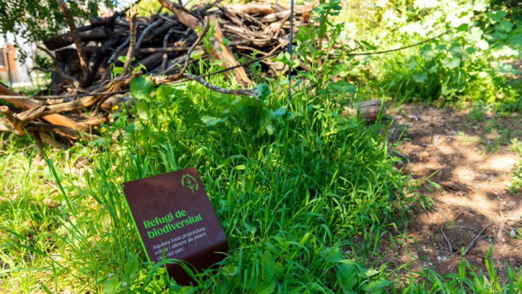 Parc Palau Marianao SBR+V