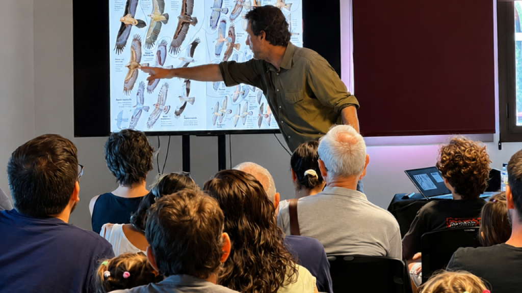 Taller d’identificació d'aus a la Setmana de la Natura