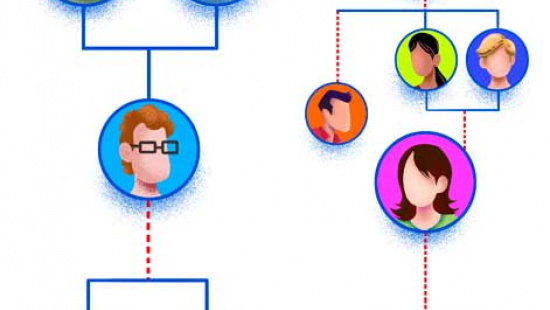 Estructura organitzativa